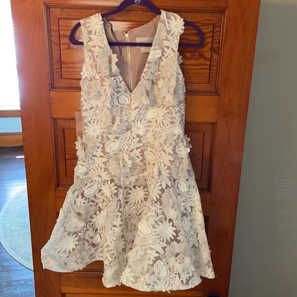 BHLDN Drop Waist Floral LWD